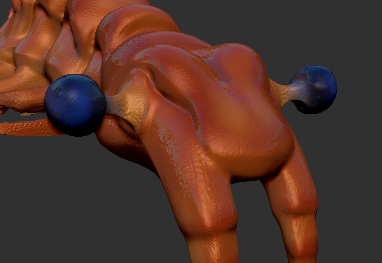 animalAnatomy