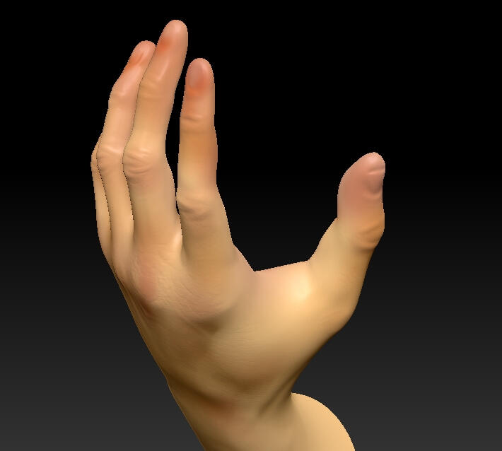 anatomicalStudy