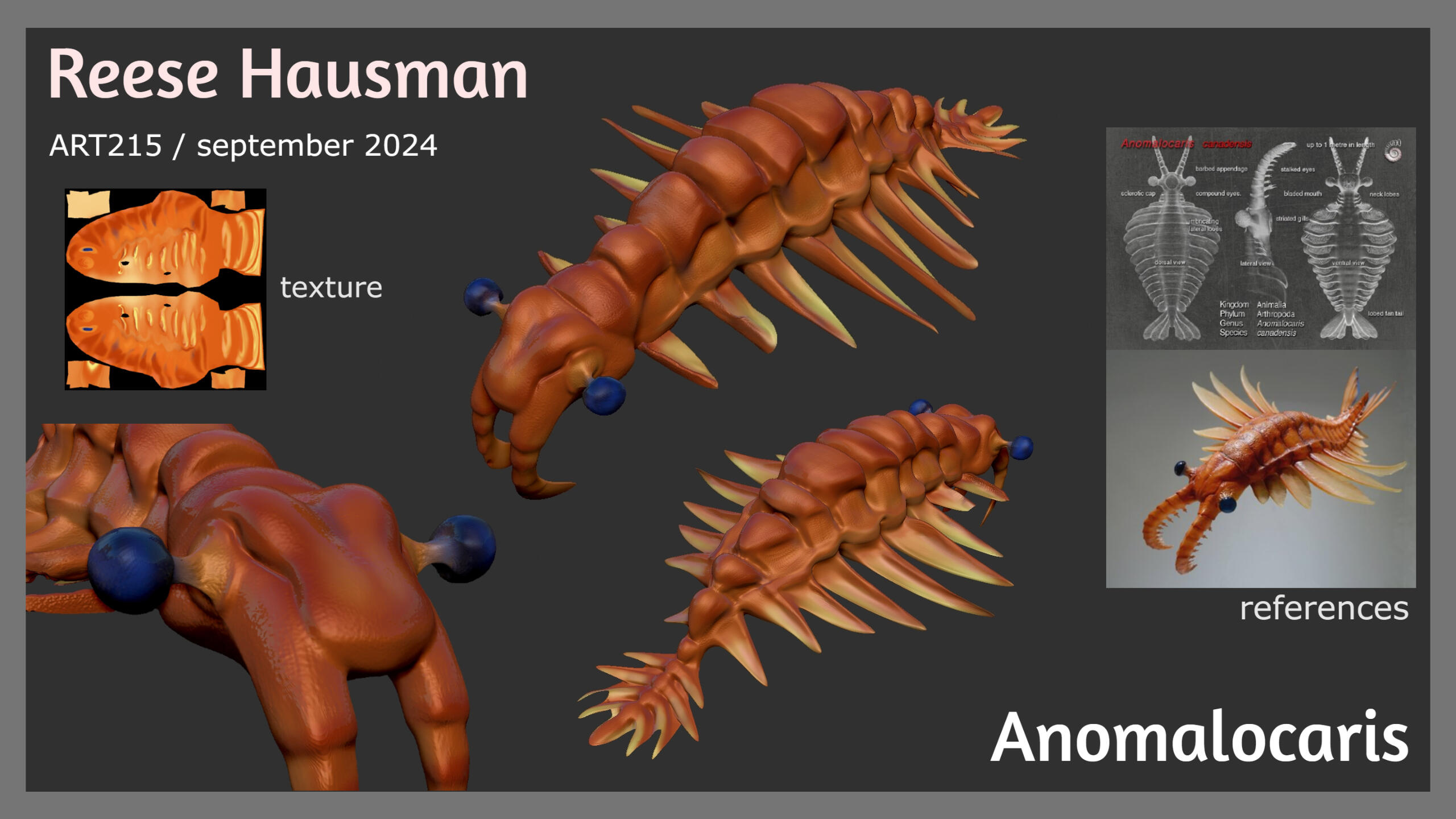 anomalocaris